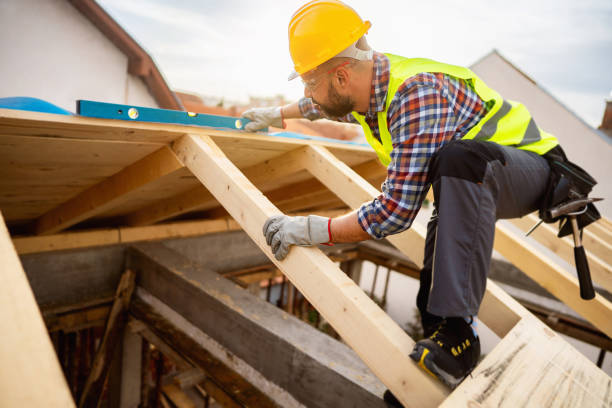 Roof Gutter Cleaning in Warsaw, KY