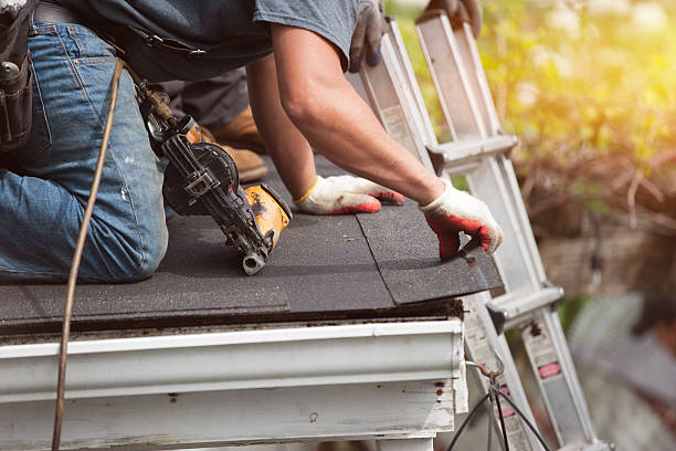 Best Roof Gutter Cleaning  in Warsaw, KY
